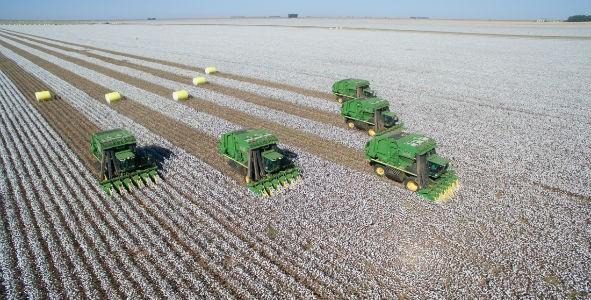 Brasilien: Die zwölf größten Großgrundbesitzer besitzen über 8,5 Millionen Hektar Land