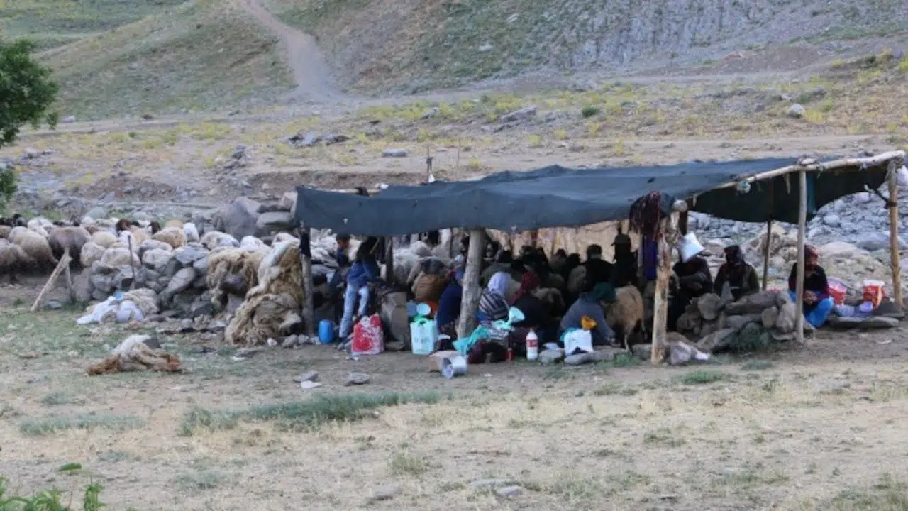 Turkey: Situation of the peasants in Mesopotamia in the crisis