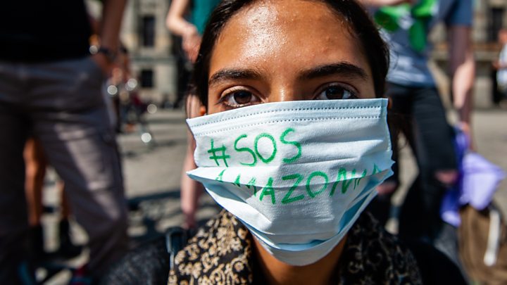 Jüngste Entwicklungen zu den Waldbränden in Brasilien