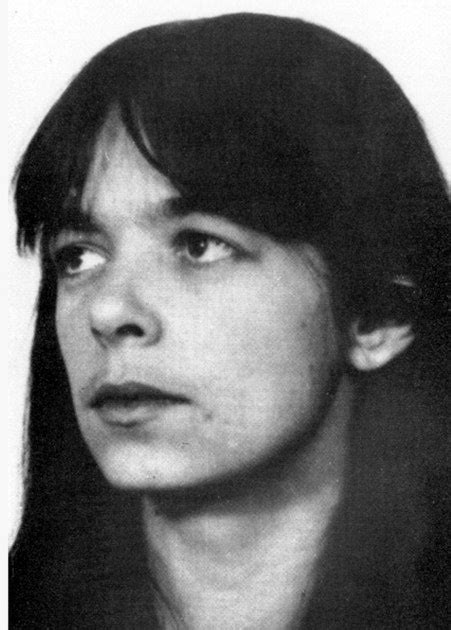 Former RAF fighter arrested.