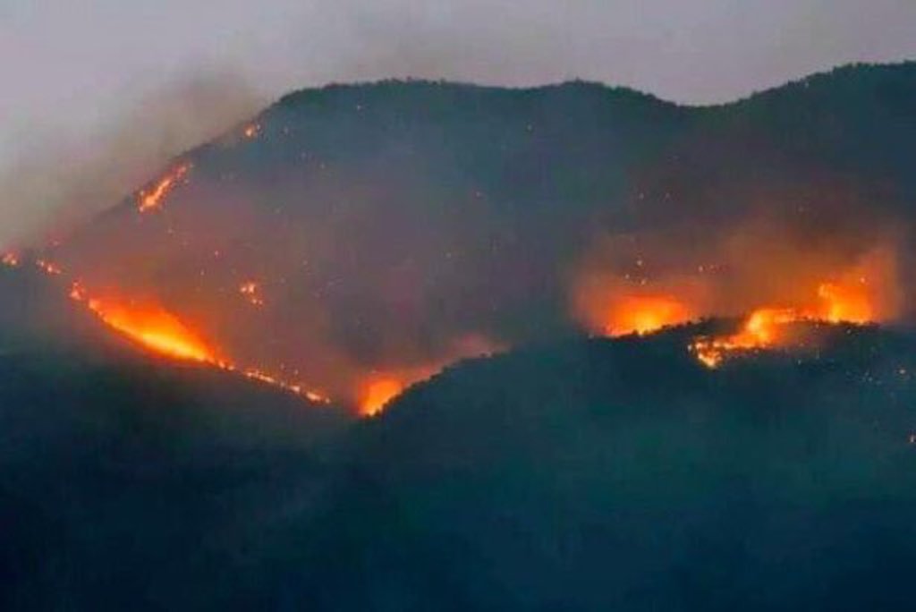 Fires started by Turkish army to drive out guerilla