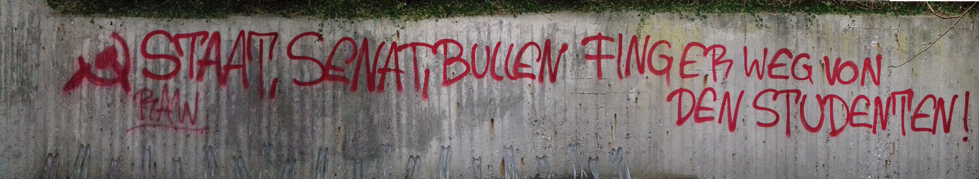 Solidary Action for the occupation of the Hamburg University