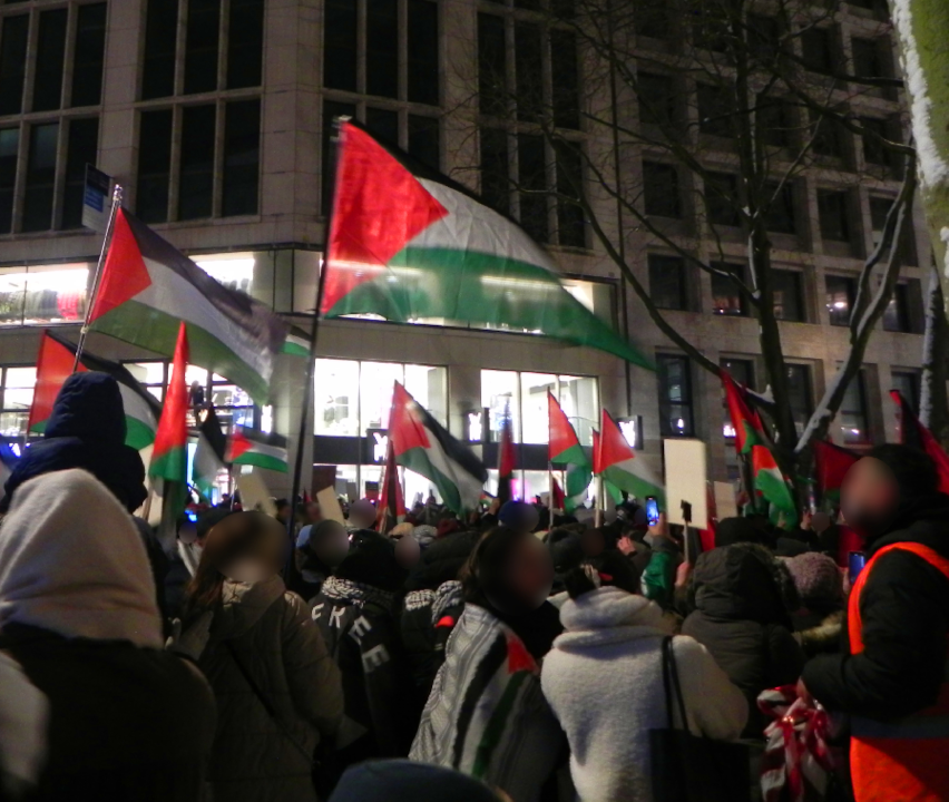 Hamburg: Großdemonstration für Palästina