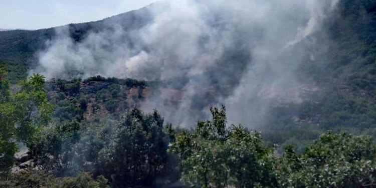 Turkey: Reaction burns down mountain