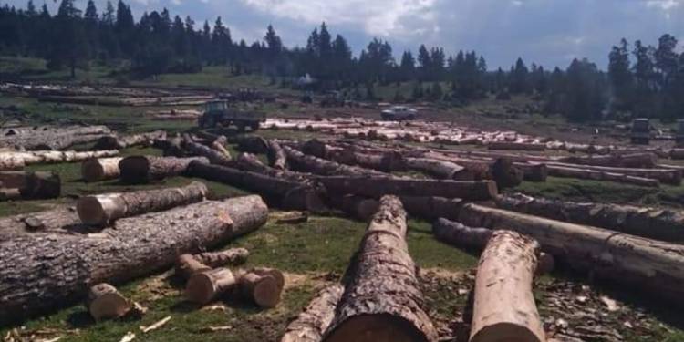 News from Turkey 14th – 20th of October