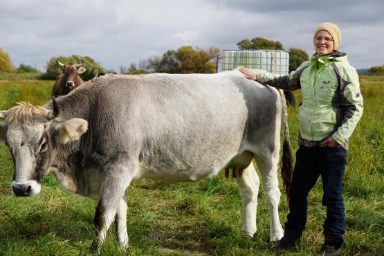 BRD: Mehr Agrarflächen in den Händen der Bourgeoisie
