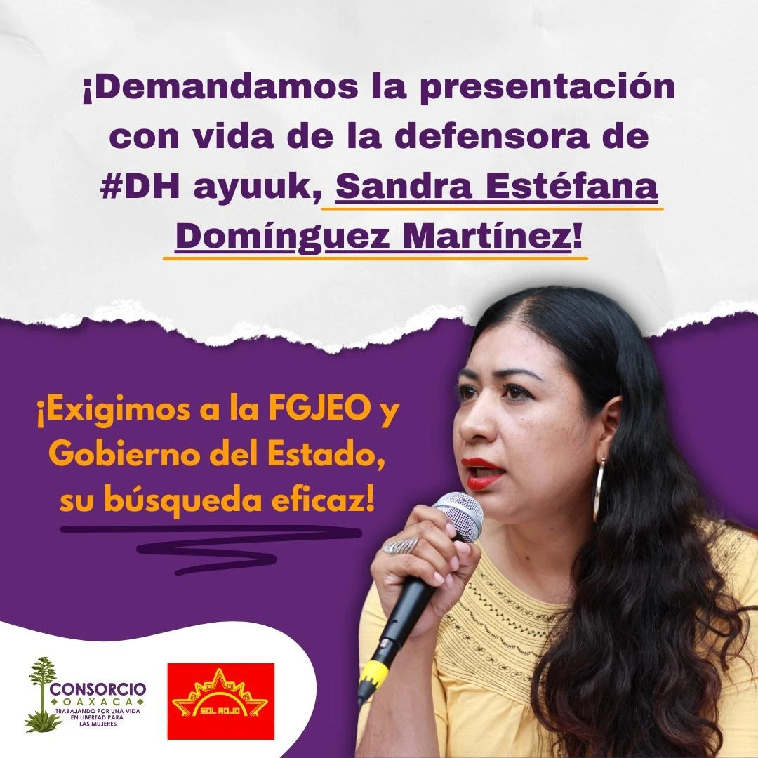 Periódico Mural (Mexiko) – Das Verschwinden von Sandra Domínguez