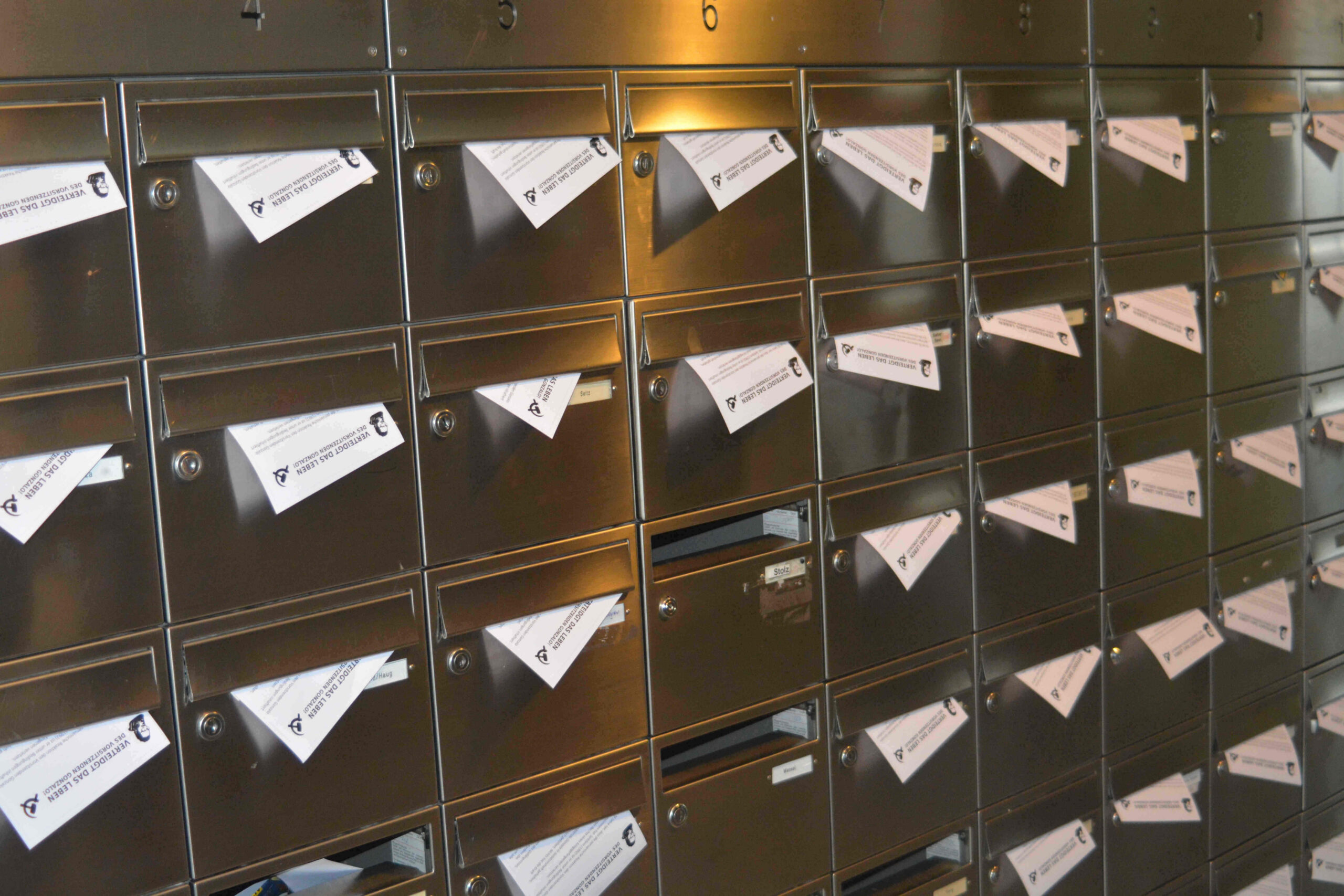 Further actions in defense of Chairman Gonzalo