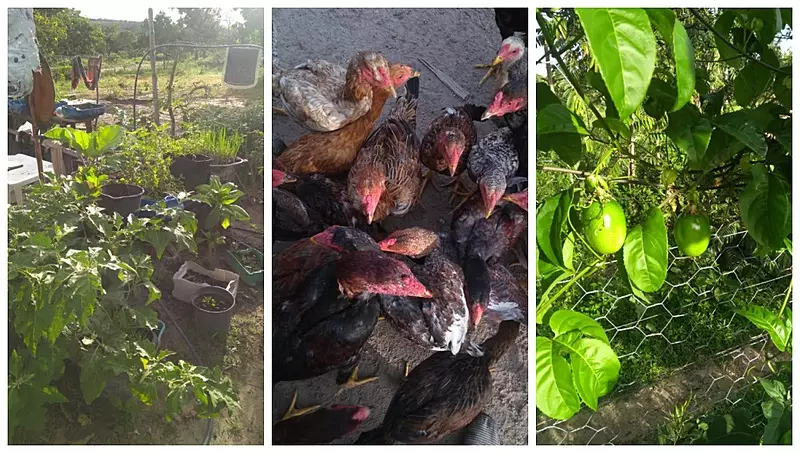 Peasants resist eviction in People‘s Settlement Chê