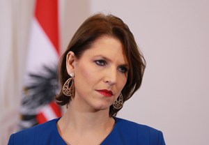 “In u00d6sterreich gibt es keine patriarchalen Strukturen, das ist alles importiert.”