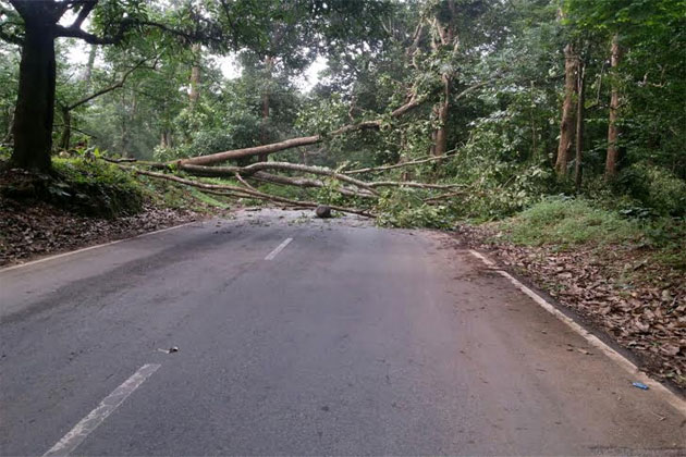 Indien | Aktionen und Reaktionen