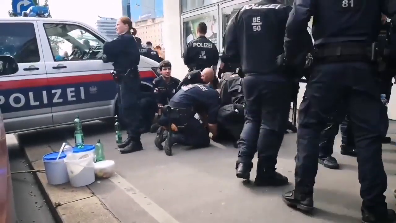 Bullen vermöbeln Klimademonstranten in Wien