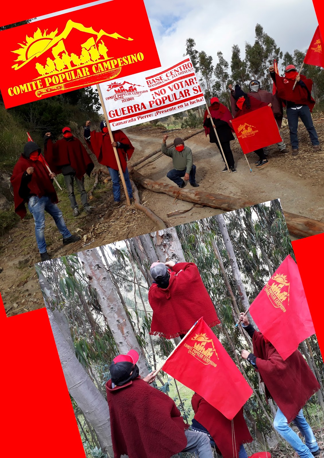 boicot consulta 2018 comité popular campesino