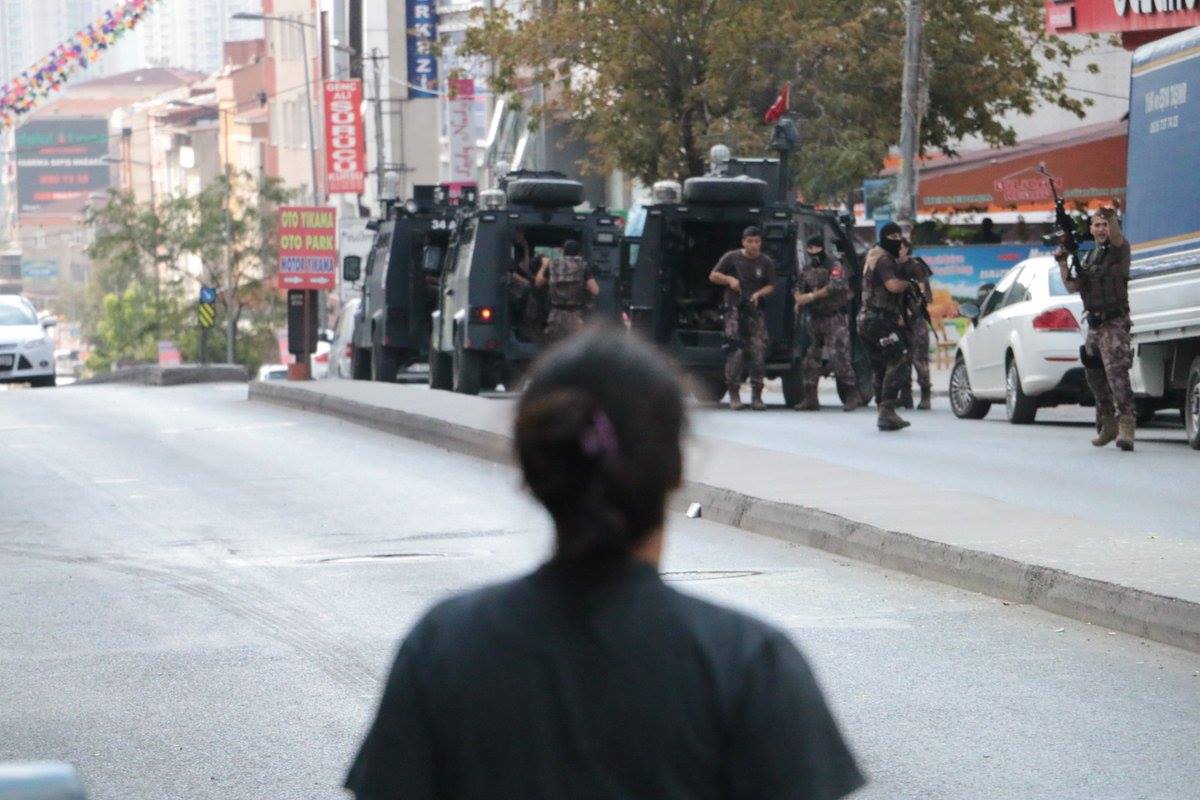 14138838 642005729292741 5760399983734864135 o