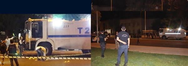 14729188 1709730772677245 8323756084741029355 n